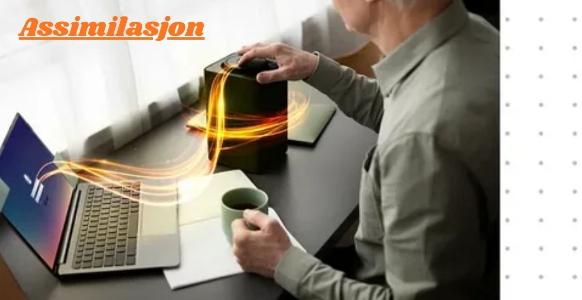 Assimilasjon